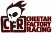 Cheetah Factory Racing