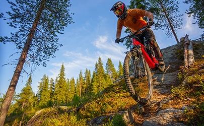 Polkupyörät ryhmä