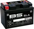 BS Battery BTZ14S (FA) SLA - Sealed & Activated - Akut - D262600 - 1