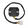Electrosport Latauss./Tasasuunt. Kawasaki - Moottoripyörän tasasuuntaajat - D118370 - 1