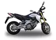GPR Aprilia Shiver 900 2017/20 e4 Pair Racing slip-on exhaust Deeptone Inox - Moottoripyörän äänenvaimentimet - D422440 - 4