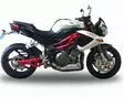 GPR Benelli Tnt 899 2008/16 EC-Approv. slip-on exhaust Tiburon Poppy - Moottoripyörän äänenvaimentimet - D425290 - 6