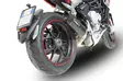 GPR Mv Agusta Rivale 800 2014/16 e3 EC-Approv. slip-on exhaust Furore Nero - Moottoripyörän äänenvaimentimet - D428190 - 12