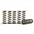 Hinson Clutch Springs CRF450R (7/8PLATE) 17- CRF450RX - Moottoripyörän muut kytkimenosat - D224660 - 1