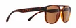 Spect Red Bull Elroy Sunglasses Shiny Havana w Brown lens - Aurinkolasit - D522090 - 2