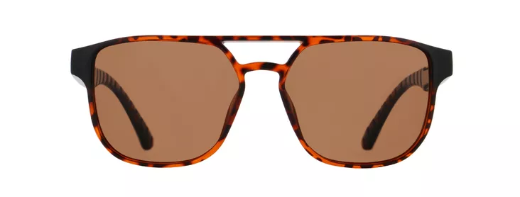 Spect Red Bull Elroy Sunglasses Shiny Havana w Brown lens - Aurinkolasit - D522090 - 1