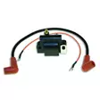 Cdi Elec. Johnson Evinrude Ignition Coil - Sytytyspuolat & -johdot - D186101 - 1