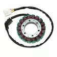 Electrosport Staattori Honda CBR900RR 00-01 - Moottoripyörän staattorit - D118351 - 1