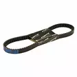 Forte Variaattorihihna 788 x 17 Kiina-skootterit 12" - 13" / Solifer 06- - Mopon Variaattorihihnat - D479681 - 1