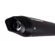 GPR Yamaha Fzs 600 Fazer 1998/03 EC-Approv. slip-on exhaust Furore Nero - Moottoripyörän äänenvaimentimet - D429011 - 8