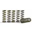 Hinson Clutch Springs YZ250F 19- - Moottoripyörän muut kytkimenosat - D392841 - 1