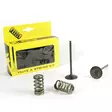 ProX Steel Intake Valve/Spring Kit KTM250SX-F '13-15 - Moottoripyörän kannen venttiilit - D168831 - 1