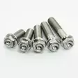 Scar 2 x Titanium hex head flange bolt M8 x 35 - titanium Gr5-Ti - Moottoripyörän ruuvit & kiinikkeet - D269151 - 1