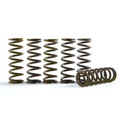 Hinson Clutch Springs YZ250F 19- - Moottoripyörän muut kytkimenosat - D392841 - 1