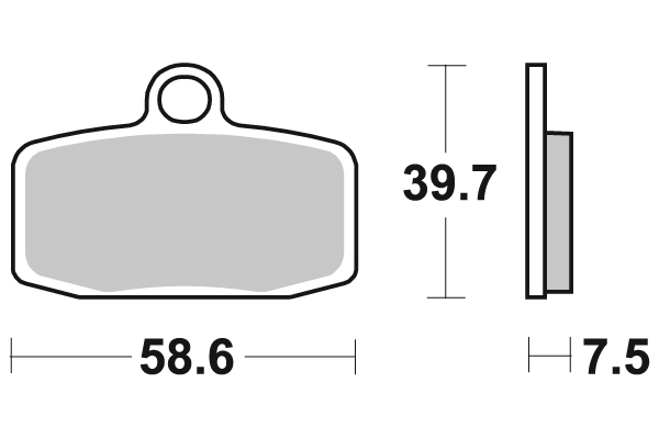 Sbs Jarrupalat Carbon Silver - Moottoripyörän jarrupalat - D221021 - 1