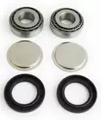 EPI Rear Swing Arm Repair Kit - Mönkijän Takahaarukan puslasarjat - D118222 - 1