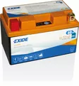 Exide akku Li-Ion ELTZ14S - Akut - D548122 - 1
