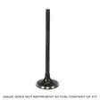 ProX Steel Exhaust Valve XR70R '97-03 + CRF70F '04-12 - Moottoripyörän kannen venttiilit - D137922 - 1