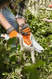 STIHL GTA 26 AKKUSAHA sis. AS2 JA AL1 - Stihl Akkukäyttöiset oksasahat - 113592 - 4
