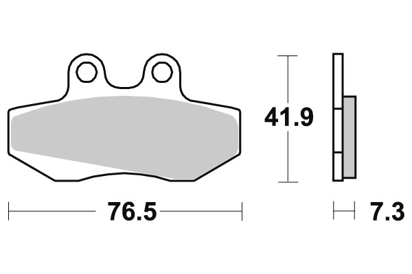 Sbs Jarrupalat Carbon Tech - Moottoripyörän jarrupalat - D220542 - 1