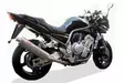 GPR Yamaha Fzs 1000 Fazer 2001/05 EC-Approv. slip-on exhaust Albus Ceramic - Moottoripyörän äänenvaimentimet - D429013 - 9