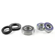 ProX Rearwheel Bearing Set CB600F Hornet (Euro) '07-12 - Moottoripyörän pyörän laakerisarjat - D173543 - 1