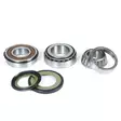 ProX Steering Bearing Kit 1000 Daytona '91-92 - Moottoripyörän Ohjauslaakerit - D173603 - 1