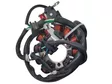 TMV staattori Honda CRF250R 2020-2021 - Moottoripyörän staattorit - D539173 - 1