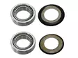 Sixty5 steering bear kit 30x51x15 2pcs - Moottoripyörän Ohjauslaakerit - D332553 - 1