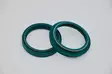SKF Heavy Duty Oil & Dust Seal 48 mm. - ZF SACHS - Etuteleskooppien tiivisteet - D328153 - 1