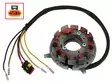 Sno-X Staattori Ski-Doo/Lynx - Moottorikelkan staattorit - D484213 - 1