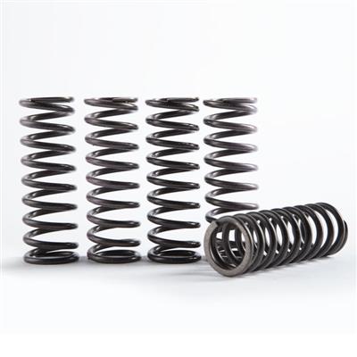 Hinson Clutch Springs YZ85 02- - Moottoripyörän muut kytkimenosat - D392833 - 1