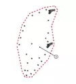 DFK Vasen Ovensaranat ja kiinnityssarja Yamaha YXZ 1000 - DFK varaosat & tarvikkeet - D514424 - 1