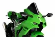 Puig Z-Racing Screen Kawasaki Zx-10R/Rr 21' C/Black - Moottoripyörän tuulisuojat - D406924 - 1
