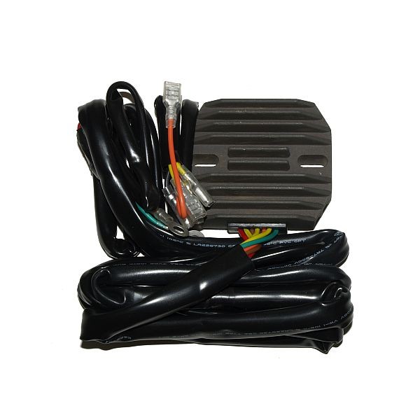 Electrosport Latauss./Tasasuunt. Bmw/Moto-Guzzi - Moottoripyörän tasasuuntaajat - D81824 - 1