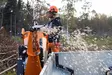 Bronco Haketin/Oksasilppuri B&S 13.5hv sähköstartilla - Mönkijän hakettimet - D286655 - 3