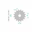 Forte Eturatas, 13 hammasta (420), Skyteam Monkey / Jincheng Monkey - Mopon Eturattaat - D479755 - 1