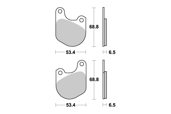 Sbs Jarrupalat Carbon Tech - Moottoripyörän jarrupalat - D220725 - 1