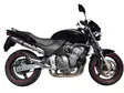 GPR Honda Hornet Cb 600 F 1998/02 EC-Approv. slip-on exhaust Deeptone Inox - Moottoripyörän äänenvaimentimet - D427446 - 3