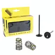 ProX Steel Intake Valve/Spring Kit KTM250SX-F/EXC-F '05-07 - Moottoripyörän kannen venttiilit - D137976 - 1