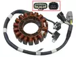 Sno-X Staattori Polaris - Moottorikelkan staattorit - D404726 - 1