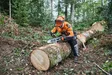 STIHL DYNAMIC LIGHT KYPÄRÄSARJA - Stihl Pään-, kasvojen- & kuulonsuojaus - 138676 - 2
