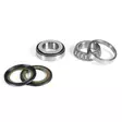 SylinterinTiiviste ATHENA KXF250 04-08RMZ250 04-06 - Moottoripyörän muut moottorin tiivisteet - D310386 - 1