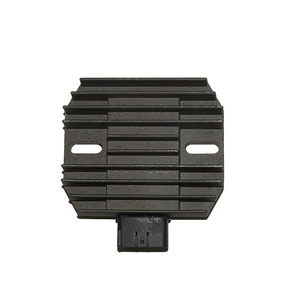 Electrosport Latauss./Tasasuunt. Kawasaki - Moottoripyörän tasasuuntaajat - D105126 - 1