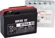 BS Battery BTR4A-BS MF (cp) Maintenance Free - Akut - D262587 - 1
