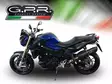 GPR Bmw F 800 R 2009/14 EC-Approv. slip-on exhaust Furore Nero - Moottoripyörän äänenvaimentimet - D425437 - 10