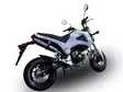 GPR Honda Msx - Grom 125 2013/17 Racing full line exhaust Deeptone Inox - Moottoripyörän pakoputkistot - D423297 - 5