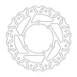 Moto-Master Jarrulevy CR/CRF eteen Nitro - Moottoripyörän jarrulevyt - D245447 - 1