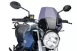 Puig Windshield Naked New Generation Bmw R1200R 06-14'C - Moottoripyörän tuulisuojat - D299777 - 1