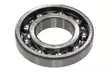 Sno-X Takaakselin laakeri 6205 25x52x15mm - Moottorikelkan vaihdelaatikon osat - D360937 - 1
